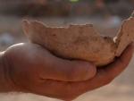 Fragmento de cer&aacute;mica encontrada en Tel Aviv, que serv&iacute;an para fabricar cerveza.