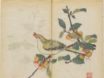 Un oriol come una cereza en una de las l&aacute;minas del manual chino de 1633
