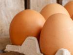 <p>Huevos, un alimento rico en Vitamina D.</p>