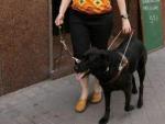 Una mujer invidente camina por la calle junto a su perro gu&iacute;a, en una imagen de archivo.