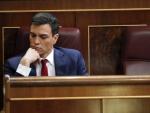 El secretario general del PSOE, Pedro S&aacute;nchez, en su esca&ntilde;o durante la sesi&oacute;n de la tarde de la segunda jornada del debate de su investidura que se celebra en el Congreso de los Diputados.