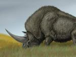 Una recreaci&oacute;n de c&oacute;mo debi&oacute; ser el Elasmotherium Sibiricum, o Unicornio de Siberia.