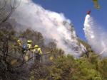 Labores de extinci&oacute;n del incendio de La Palma