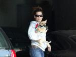 La actriz Sandra Bullock adopt&oacute; a Poppy, un perro al que le faltaba una de sus patas.