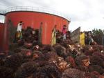 Una planta de tratamiento de aceite de palma en Indonesia.