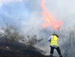 Los incendios en Chile se vuelven con frecuencia una emergencia nacional; en el verano de 2017, (mes de enero) que ha presentado temperaturas r&eacute;cord, la presidenta Bachelet ha pedido ayuda externa para contenerlos.