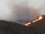 Llamas del incendio declarado en el paraje Pozo de los Frailes, en N&iacute;jar, en el parque natural de Cabo de Gata.