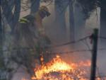 Trabajos de extinci&oacute;n del incendio en el municipio abulense de Navarredonda de Gredos.