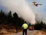 Una avioneta trata de extinguir un incendio forestal.