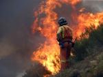 Un bombero trabaja la extinci&oacute;n en uno de los incendios en Dega&ntilde;a (Asturias).