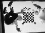 Marcel Duchamp y Salvador Dal&iacute; jugando al ajedrez. Fotograf&iacute;a de Robert Descharnes.