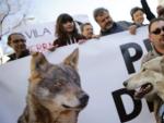 Momento de la manifestaci&oacute;n 'Lobo vivo, lobo protegido' en Madrid.
