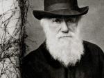 Imagen de Darwin de 1881.