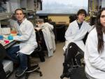 Juan, Jes&uacute;s y Julia, investigadores del Centro madrile&ntilde;o de Biolog&iacute;a Molecular Severo Ochoa.