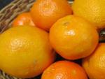 Naranjas, mandarinas, c&iacute;tricos