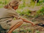 Jane Goodall con un joven chimpanc&eacute; en la selva de Gombre, Tanzania.