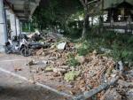 El terremoto ha derribado partes de edificios en Denpasar, Bali.