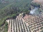 Incendio forestal en Pozo Alc&oacute;n (Ja&eacute;n)