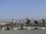 J&oacute;venes afganos haciendo parkour