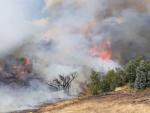 El Infoca trabaja en la extinci&oacute;n de un incendio en La Granada de Riotinto.