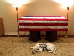 Sully, el perro de servicio que trabaj&oacute; para el fallecido expresidente George H. W. Bush, descansa junto al f&eacute;retro de Bush padre en Houston, Texas (EE UU).