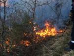 Bomberos trabajan en la extinci&oacute;n de incendios forestales en Goizueta, Irurita y