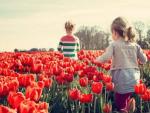 Holanda: el pa&iacute;s de los tulipanes