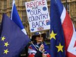Una activista pro Uni&oacute;n Europea en una manifestaci&oacute;n ante el Parlamento.