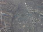 P&aacute;jaro dibujado en Nazca, Per&uacute;.