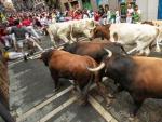 Los cabestros gu&iacute;an a los toros durante el encierro de San Ferm&iacute;n