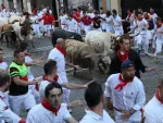 Sexto encierro de las fiestas de San Fermín con toros de la Ganadería Núñez del Cuvillo en Pamplona.