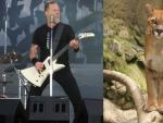 James Hetfield, de Metallica, contact&oacute; con una seguidora que se salv&oacute; de ser ataca por un puma.