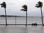 Un hombre observa desde una banco, en un paseo inundado, la subida del nivel del mar antes de la llegada del hurac&aacute;n Dorian, en Palm Beach, Florida (EE UU).
