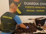 Percebes requisados a un 'furtivo' que fue detenido en Baiona (Pontevedra)