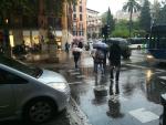 Lluvia, Palma, paraguas, tiempo, llover