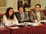 Noelia &Aacute;lvarez, Guillermo Garc&iacute;a De Longoria Y N&eacute;stor Santos En Un Pleno Municipal.