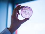 Bacteria E. Coli resistente a m&uacute;ltiples f&aacute;rmacos
