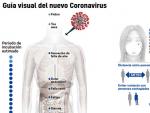 Gu&iacute;a visual del contagio de coronavirus.