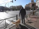 Un hombre pasea a su perro en el centro de Madrid durante la cuarentena.