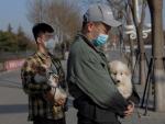 Dos ciudadanos protegidos por mascarillas por el coronavirus COVID-19, con sus perros, en Pek&iacute;n, China.
