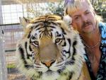 39 felinos de 'Tiger King' han encontrado su hogar en un santuario para tigres