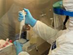 Personal de laboratorio analiza una muestra de coronavirus.