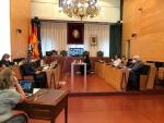 Pleno extraordinario del Ayuntamiento de Badalona. Pleno extraordinario del Ayuntamiento de Badalona 2/5/2020