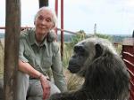 Jane Goodall with rescued chimpanzee LaVielle at the Tchimpounga Chimpanzee Rehabilitation Center in the Republic of the Congo.