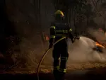Un bombero lucha contra las llamas en el incendio forestal declarado en Cualedro, Ourense.