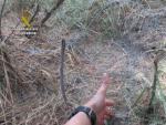 Lazos ilegales utilizados en la caza menor y localizados por la Guardia Civil