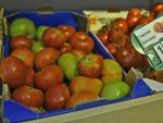 Imagen de archivo de cajas de tomates variados en un mercado