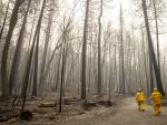 Dos empleados de los servicios de emergencia revisan una propiedad, en medio de un bosque arrasado por el fuego, en Berry Creek, California (EE UU).