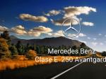 Mercedes Benz Clase E 250 Avantgarde