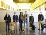 El Ayuntamiento de Zaragoza financiar&aacute; el registro de ADN de todos los perros gu&iacute;a de la ciudad.